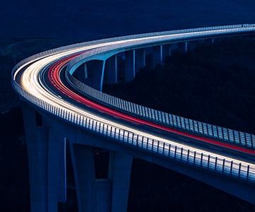 Litigation Dispute Resolution