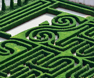 Formal Restructuring Option for Insolvent Business in UAE